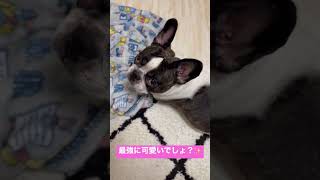 私は最強#shorts
