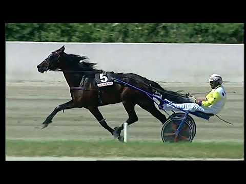 Napoli Trotto 10/05/2022 - 2ª corsa