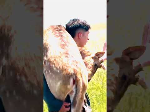 Aventura y Cacería en Madariaga, Bs As. #cazamayor