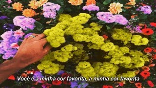 Tyler, The Creator - Yellow Ft. Kali Uchis [Legendado]