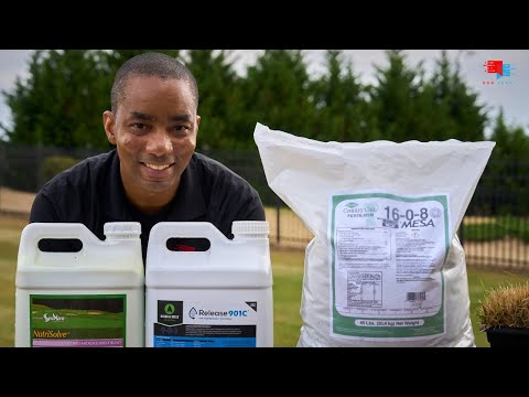 Granular vs Liquid Fertilizer - Which should you use? 🤷‍♂️