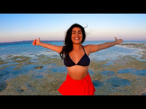 How do we keep our OCEAN 🌊 BLUE and BEACHES CLEAN? (Kala Pathar Beach/Havelock Island)