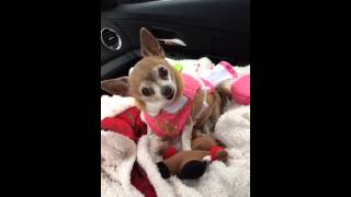 Is someone blowing smoke up your ass?