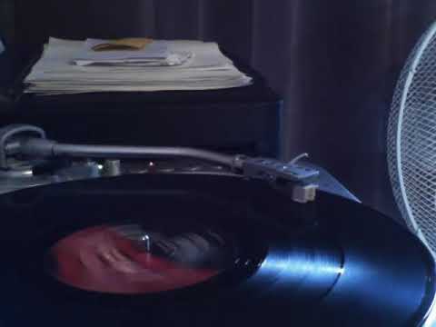 New Jazz Hustlers - "Wanna Take You For A Ride (Original Mix)"