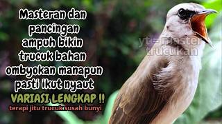 Download lagu Trucukan GACOR ngalas ROPEL PANJANG suara alam AMPUH buat pancingan jadikan trucuk Gacor GARUDA mp3