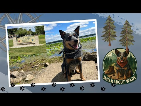 Mosquito Lake State Park - Ohio