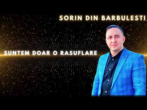 Sorin din Barbulesti and Muzica Domnului