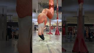 Have you been to Tampa Florida? 🦩#tampa #flamingo #florida #art #sculpture #travelblogger #cruise