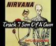 Nirvana - Son Of A Gun 