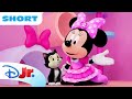 Minnie And Daisy Teach The Pets The Minnie Slide 🪩 Minnie S Bow Toons Pet Hotel Disneyjr
