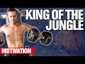 Motivation: Are you KING of the Jungle? 🦁 ROAR!!!