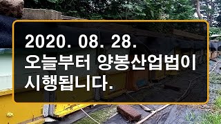 2020. 08. 28. 오늘부터 양봉산업법이 시행됩니다.