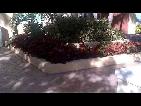 Toscano 7350 SW 89 Street # 411 s