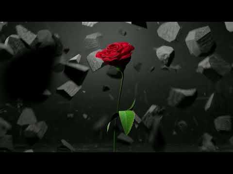 Yves De Lacroix, Harmonix feat. Lokka Vox - Broken Flowers (Hazem Beltagui Melo Remix)