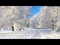 Lemon Joy - Baltoj tyloj 