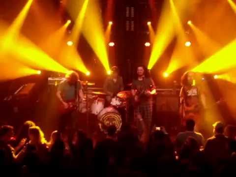 Pigeons Playing Ping Pong Atlanta 12/1/2016 II