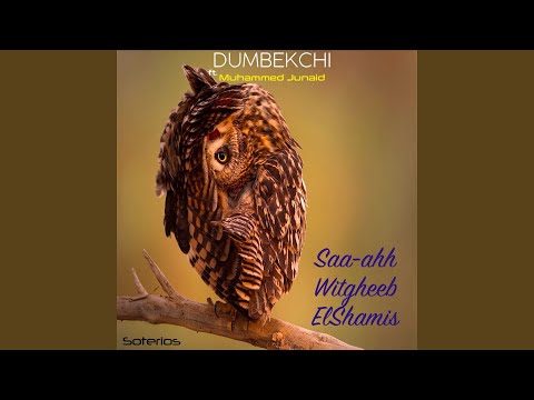 Saa-ahh Witgheeb ElShamis (feat. Muhammed Junaid) (12" Mix)