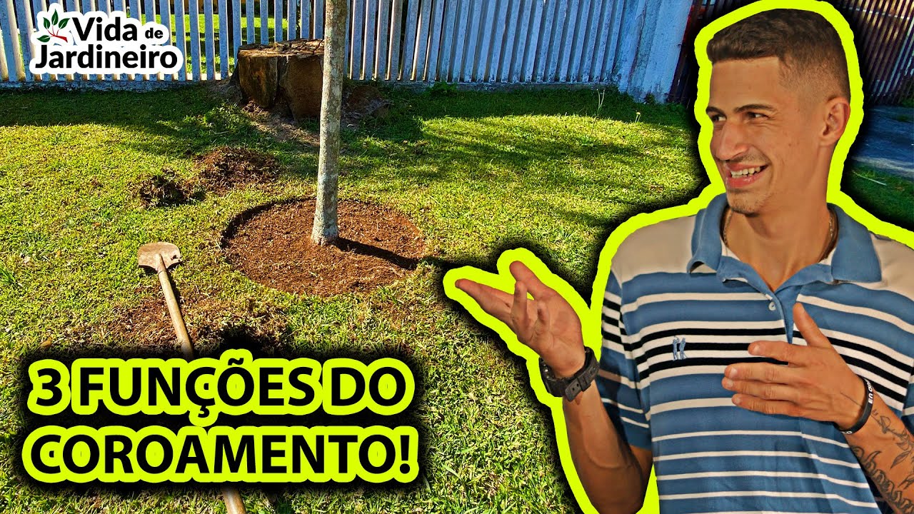 Como fazer coroamento em árvores e frutíferas | Vida de Jardineiro
