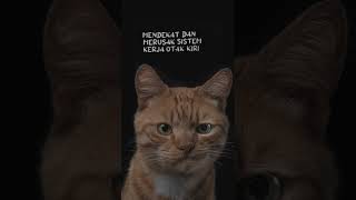 Download lagu Bondan - Bunga mp3