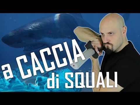 A CACCIA DI SQUALI !