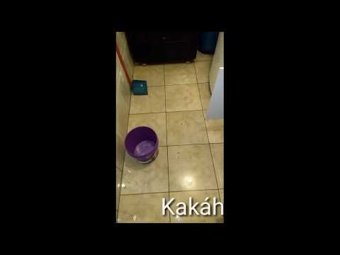 Maneira fácil de tirar água de um lugar que não tem ralo | pra dá o que falar