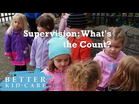 Supervision: What's the Count? Video