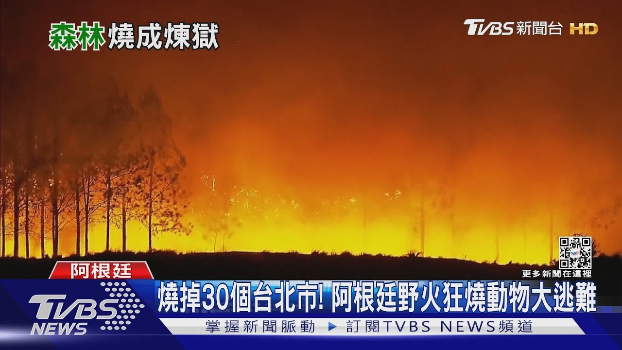 燒掉30個台北市! 阿根廷野火狂燒動物大逃難