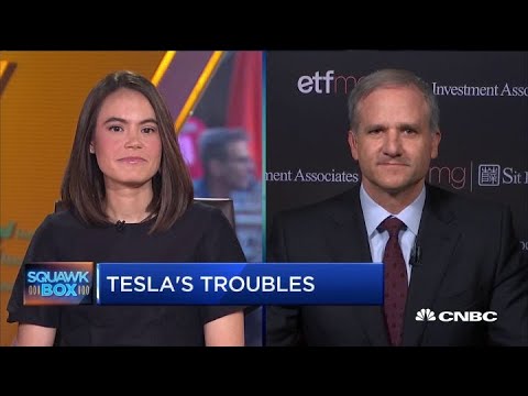 Tesla's bonds deserve junk rating, says portfolio manager Video