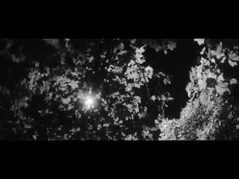 T.Williams feat TĀLĀ - On My Own (Official Video)