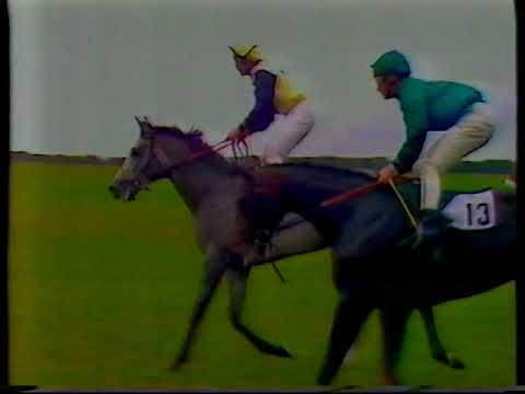 1984 Dewhurst Stakes Kala Dancer + Replay & Enclosure