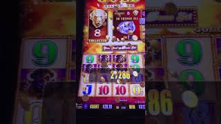 BIG WIN (over 200X!) with FOUR BUFFALO on the END!? Winning on BUFFALO GOLD slots!
