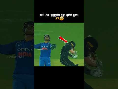 නිහතමානි අවාසනාවන්ත චරිතයක් 🥺🫶 #zoromax #trend #cricketaddict #ytviral