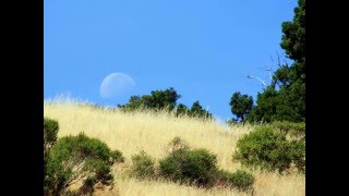 You'd Be So Nice to Come Home To