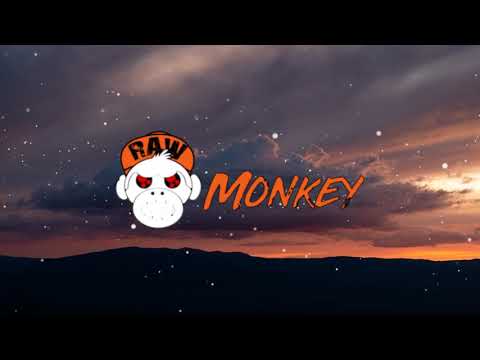 Audio Karnage - Headwrecker (XTRA RAW) [MONKEY TEMPO]