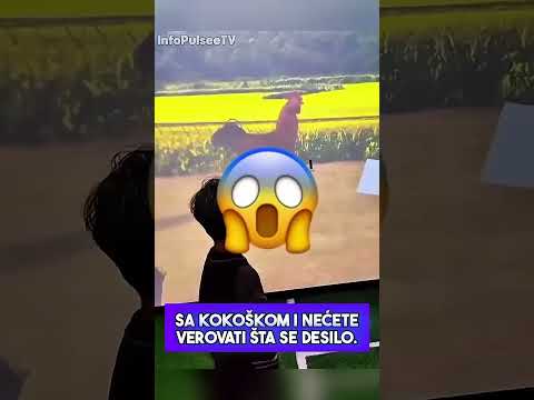 Dečak se Trkao Protiv Životinja i Desilo se OVO! 😱