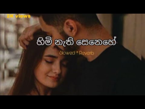 Himi nathi senehe⎹ හිමි නැති සෙනෙහේ ⎸(Slowed⁺Reverb)