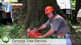 preview picture of video 'Tree Trimming Service in Gainesville VA - Free Estimates'