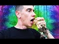 HUNTING MAGIC MUSHROOMS HUNTING MAGIC MUSHROOMS