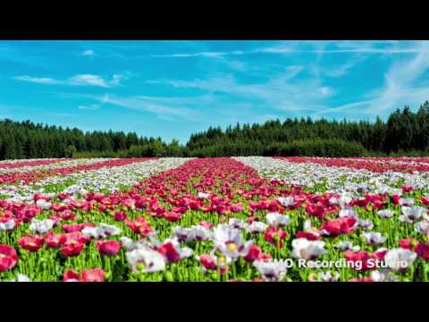 Semper Fidelis 1890 - Unites States Marine Band