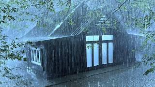 Healing with A Good Night's Sleep in the Rain & Terrifying Thunder on the Makeshift Roof at Night