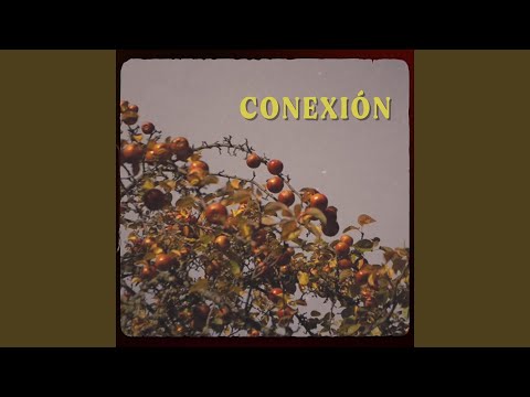 Conexión