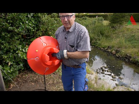 Ratten nicht durch Essensreste/Fette im Abfluss und Vogelfutter im Garten anlocken!