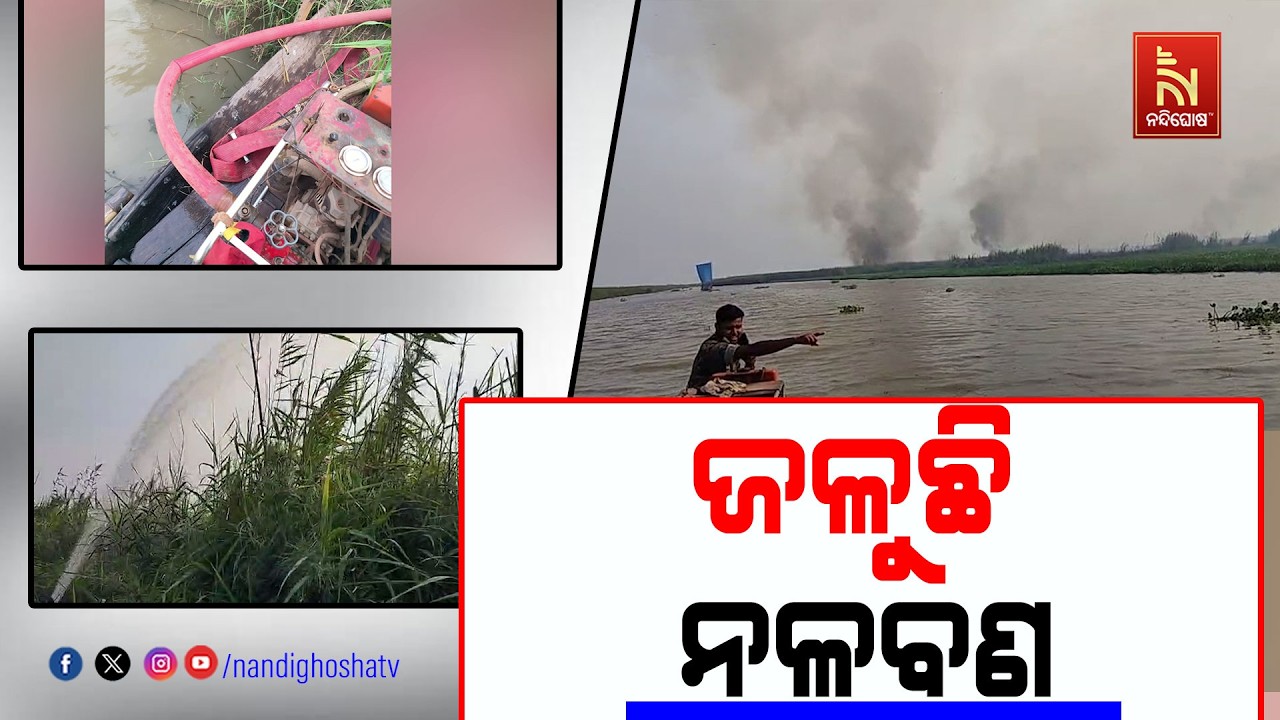 ଜଳୁଛି ଏକର ଏକର ନଳ ବଣ ; ନିଆଁ ଲିଭାଇବାରେ ଅସମର୍ଥ ଅଗ୍ନିଶମବା?