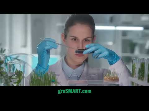 Don't Grow Dumb. Grow Smart!