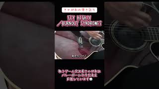 【弾き語り】きゃがわの弾き語り「FLY HIGH!!／BURNOUT SYNDROMES」#弾き語り #flyhigh #burnoutsyndromes #ハイキュー #バレーボール日本代表