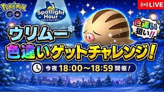 【🔴LIVE】【スポライ】ウリムー大量発生!! 「✨色違いゲットだぜ!!✨」【ポケモンGO】