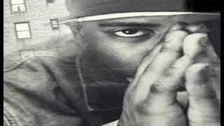 Nature/Nas - Nature&#39;s Shine *instrumental* (Trackmasters)