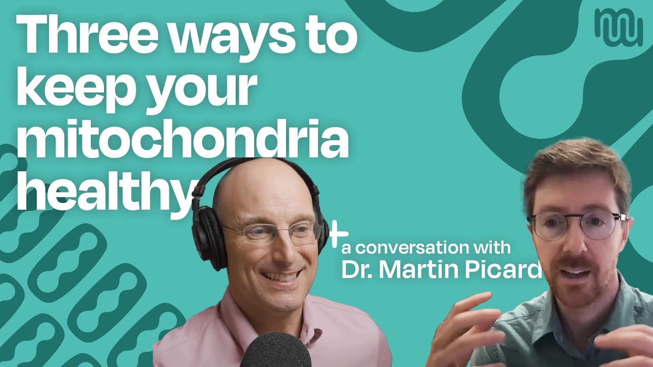 Mitochondria - The Key To Disease and Mental Health with Dr. Martin Picard