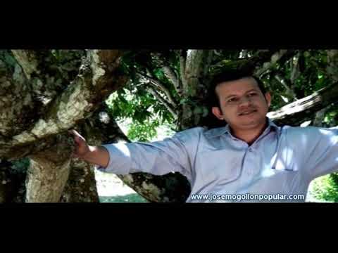 José Mogollón - La Enredadera (Video Oficial)