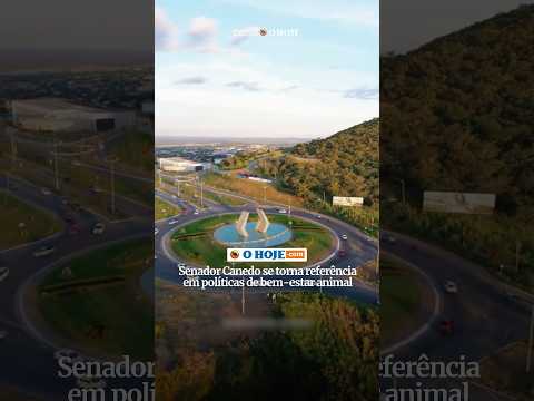 Senador Canedo se torna referência em políticas de bem-estar animal